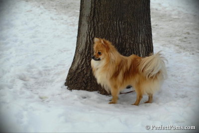 Feb13_14_100.jpg