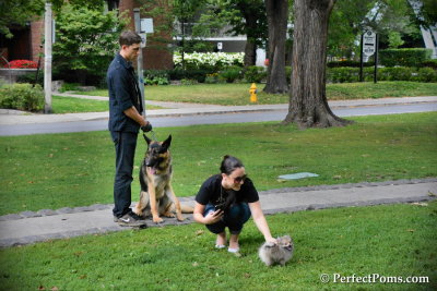 Aug17_14_088.jpg