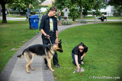 Aug17_14_129.jpg