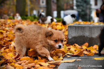Nov11_15_124.jpg