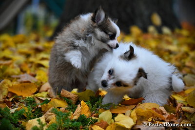 Nov19_16_129.jpg