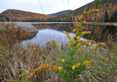 DSC_3910-t.jpg