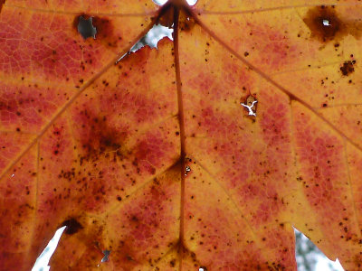 P1140171.JPG