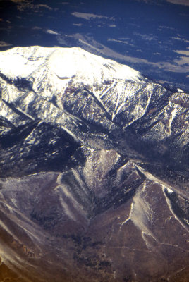 8264.jpg