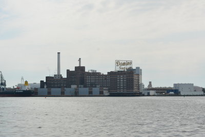 DSC_5431.JPG