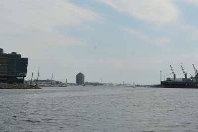 DSC_5432.JPG
