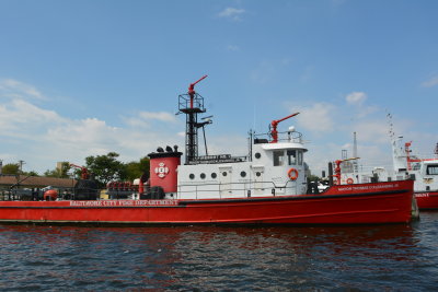 DSC_5455.JPG