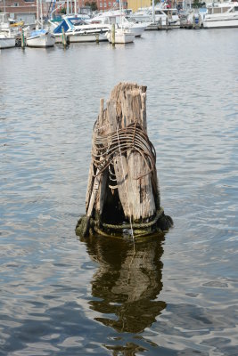 DSC_5812.JPG