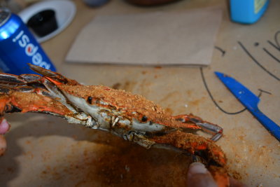 DSC_5843.JPG