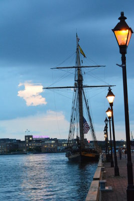 DSC_5863.JPG