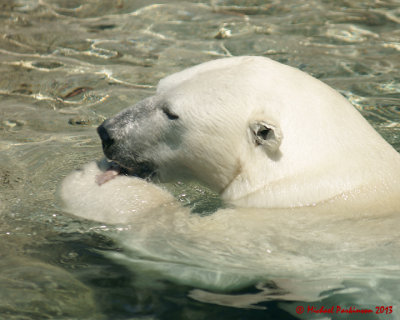 The Toronto Zoo 01713 copy.jpg