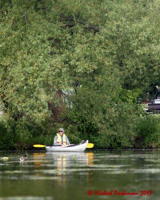 Shoreline Shuffle 02707 copy.jpg