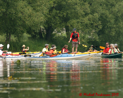 Shoreline Shuffle 02728 copy.jpg