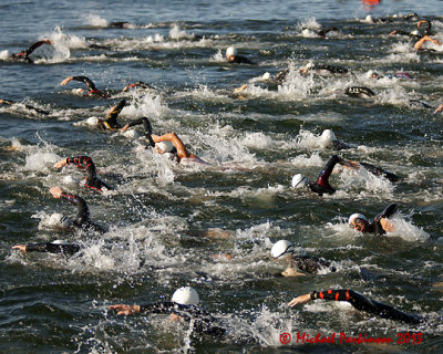 K-Town Tri 03966 copy.jpg