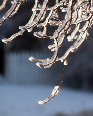 Ice Is Nice 07660 copy.jpg