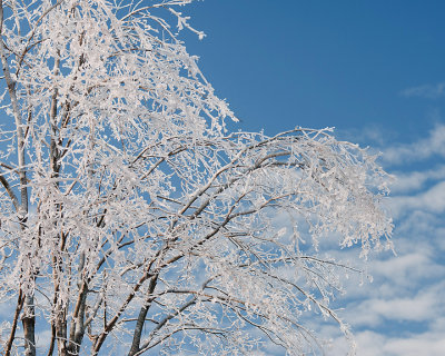 Ice Is Nice 07662 copy.jpg