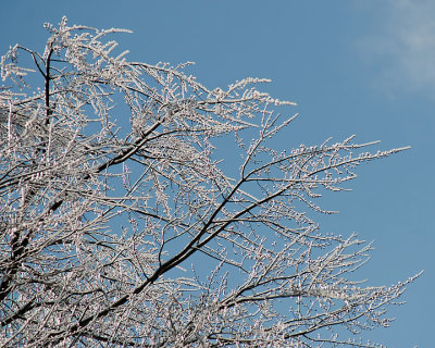 Ice Is Nice 07663 copy.jpg