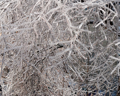 Ice Is Nice 07664 copy.jpg