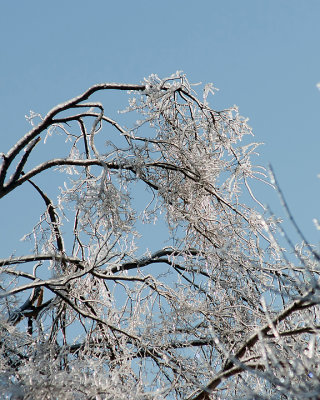 Ice Is Nice 07666 copy.jpg