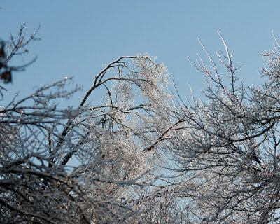 Ice Is Nice 07667 copy.jpg