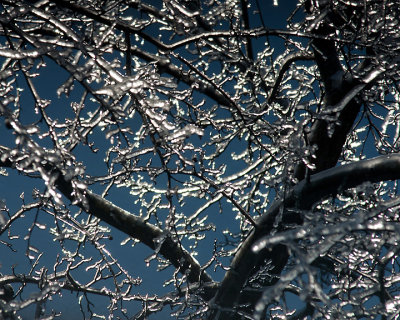 Ice Is Nice 07669 copy.jpg