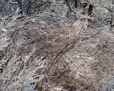 Ice Is Nice 07670 copy.jpg