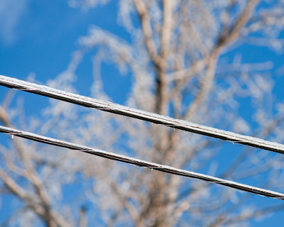 Ice Is Nice 07672 copy.jpg
