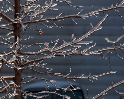 Ice Is Nice 07675 copy.jpg
