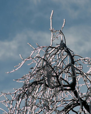 Ice Is Nice 07678 copy.jpg