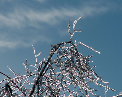 Ice Is Nice 07679 copy.jpg