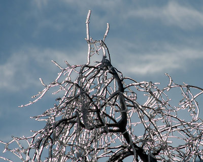 Ice Is Nice 07680 copy.jpg