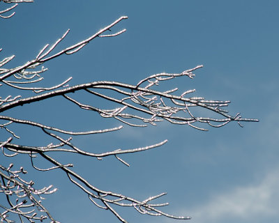 Ice Is Nice 07681 copy.jpg