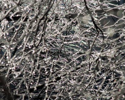 Ice Is Nice 07682 copy.jpg