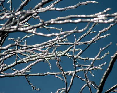 Ice Is Nice 07689 copy.jpg