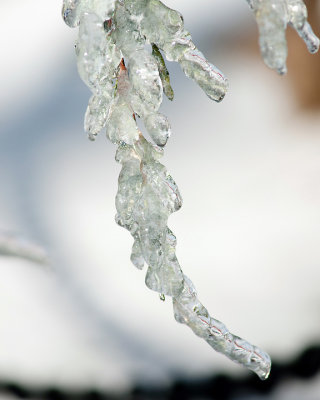Ice Is Nice 07694 copy.jpg