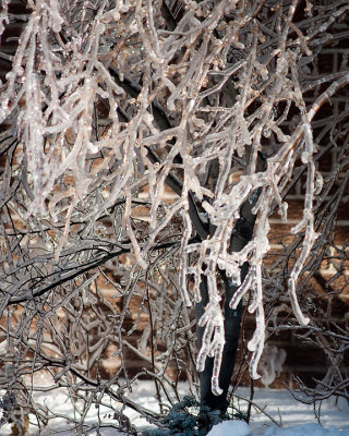 Ice Is Nice 07697 copy.jpg