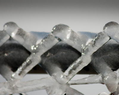 Ice Is Nice 07701 copy.jpg