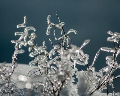 Ice Is Nice 07704 copy.jpg