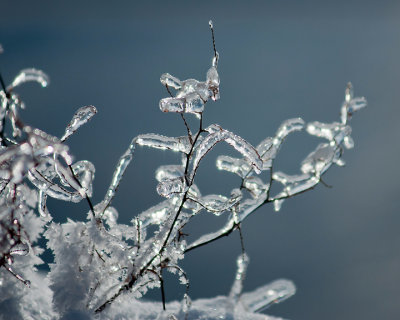 Ice Is Nice 07705 copy.jpg