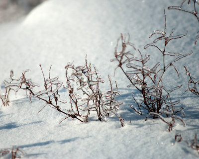 Ice Is Nice 07716 copy.jpg