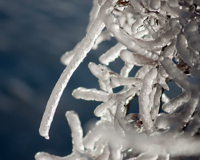 Ice Is Nice 07725 copy.jpg