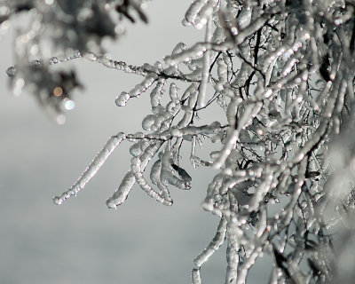 Ice Is Nice 07727 copy.jpg