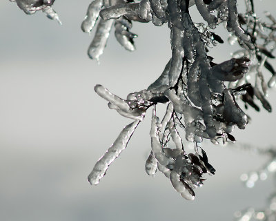 Ice Is Nice 07728 copy.jpg