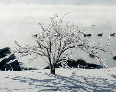 Ice Is Nice 07731 copy.jpg