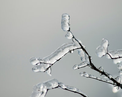 Ice Is Nice 07748 copy.jpg
