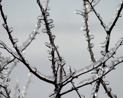 Ice Is Nice 07758 copy.jpg