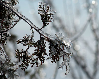Ice Is Nice 07759 copy.jpg