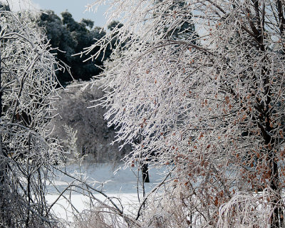 Ice Is Nice 07792 copy.jpg