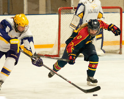 Queen's vs Laurier 00106 copy.jpg