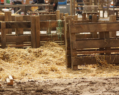 Kingston Market Movie Set 00705 copy.jpg